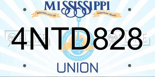 4NTD828 Mississippi License Plate