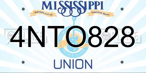 4NTO828 Mississippi License Plate