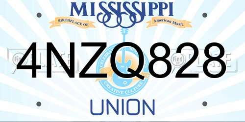 4NZQ828 Mississippi License Plate