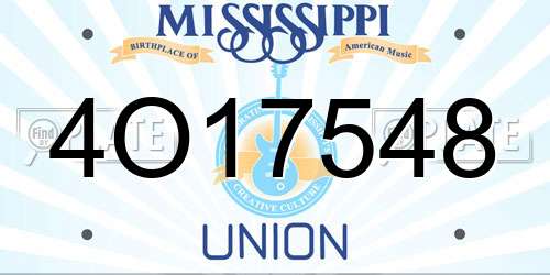 4O17548 Mississippi License Plate