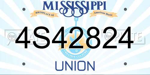 4S42824 Mississippi License Plate