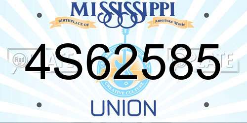 4S62585 Mississippi License Plate