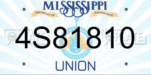 4S81810 Mississippi License Plate