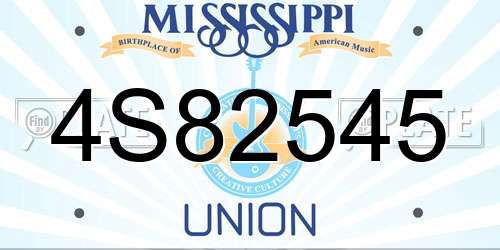 4S82545 Mississippi License Plate