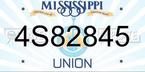 4S82845 Mississippi License Plate