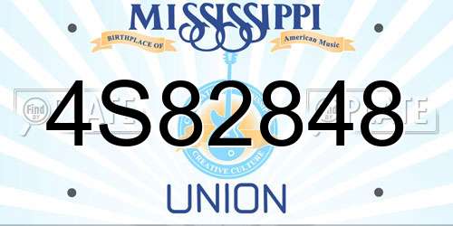 4S82848 Mississippi License Plate