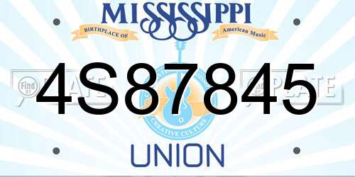 4S87845 Mississippi License Plate