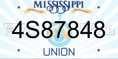 4S87848 Mississippi License Plate