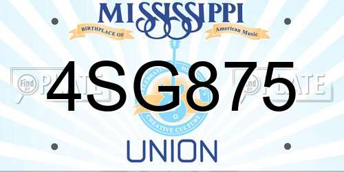 4SG875 Mississippi License Plate