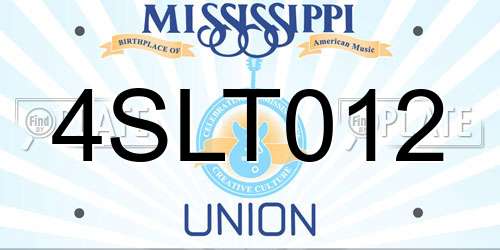 4SLT012 Mississippi License Plate