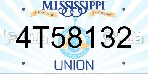 4T58132 Mississippi License Plate