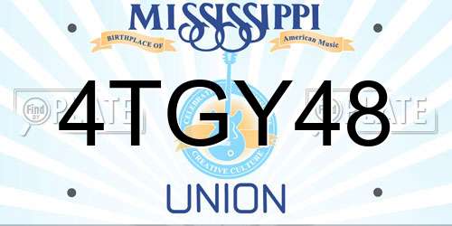 4TGY48 Mississippi License Plate