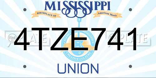 4TZE741 Mississippi License Plate