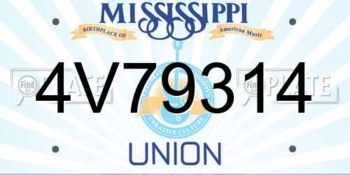 4V79314 Mississippi License Plate
