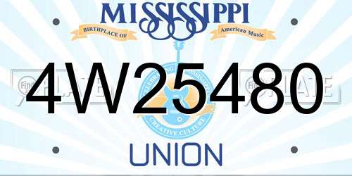 4W25480 Mississippi License Plate