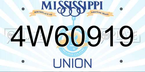 4W60919 Mississippi License Plate
