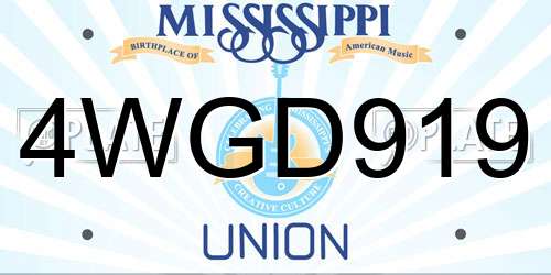 4WGD919 Mississippi License Plate