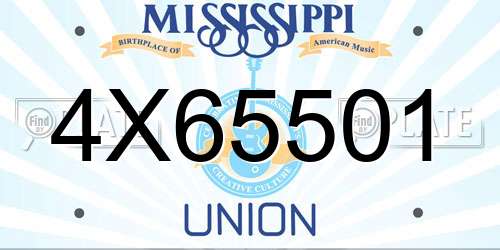 4X65501 Mississippi License Plate