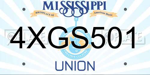 4XGS501 Mississippi License Plate