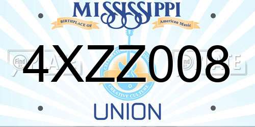 4XZZ008 Mississippi License Plate