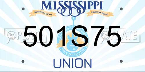 501S75 Mississippi License Plate