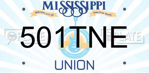 501TNE Mississippi License Plate
