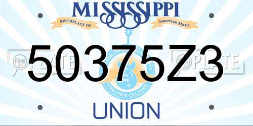 50375Z3 Mississippi License Plate