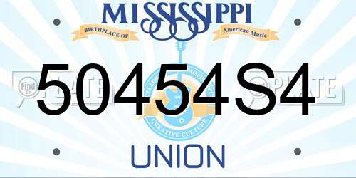 50454S4 Mississippi License Plate