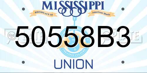 50558B3 Mississippi License Plate