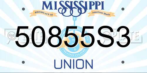 50855S3 Mississippi License Plate