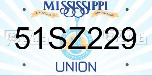 51SZ229 Mississippi License Plate