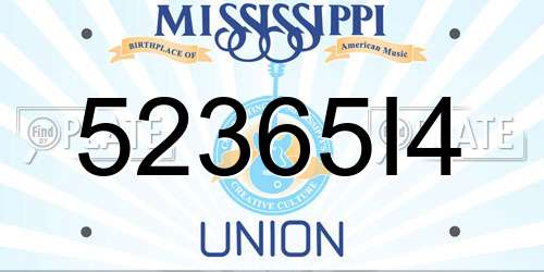 52365I4 Mississippi License Plate