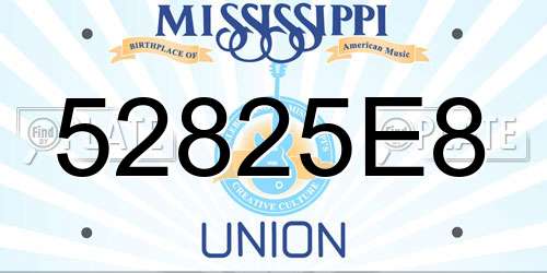 52825E8 Mississippi License Plate
