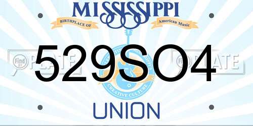 529SO4 Mississippi License Plate