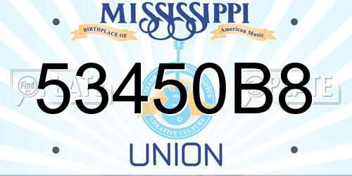 53450B8 Mississippi License Plate