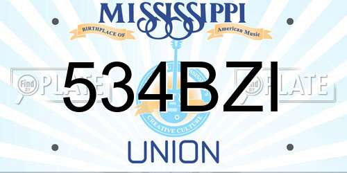 534BZI Mississippi License Plate