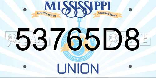 53765D8 Mississippi License Plate