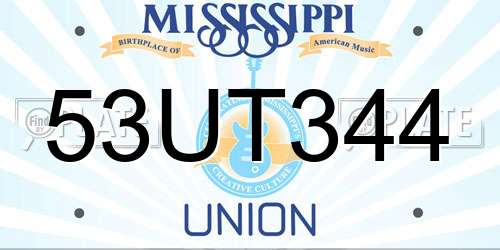 53UT344 Mississippi License Plate