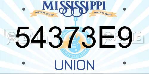54373E9 Mississippi License Plate