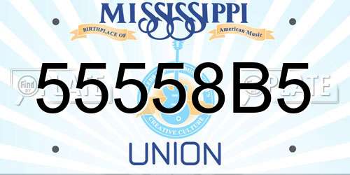55558B5 Mississippi License Plate