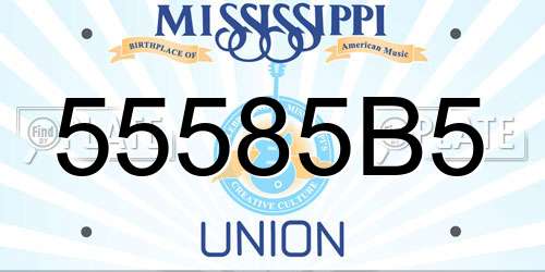 55585B5 Mississippi License Plate