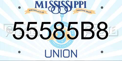 55585B8 Mississippi License Plate