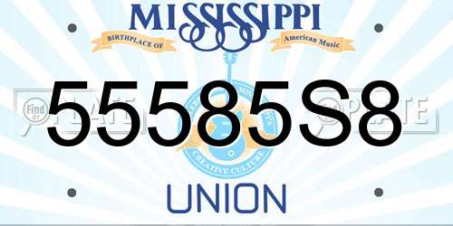 55585S8 Mississippi License Plate