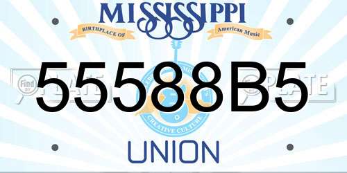 55588B5 Mississippi License Plate