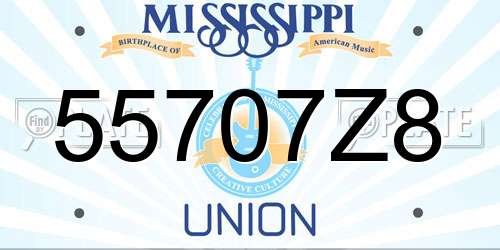 55707Z8 Mississippi License Plate
