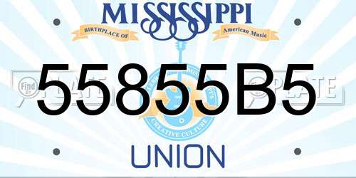 55855B5 Mississippi License Plate