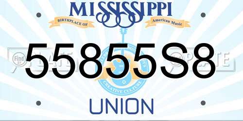 55855S8 Mississippi License Plate