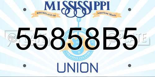 55858B5 Mississippi License Plate