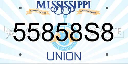 55858S8 Mississippi License Plate