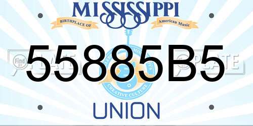55885B5 Mississippi License Plate